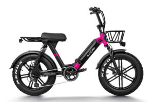 Bluerev E-bike Pink