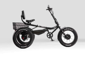 e-Azteca Fat Tire Tricycle