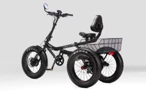 e-Azteca Fat Tire Tricycle