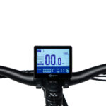 Magnum Peak E-Bike Dis[lay