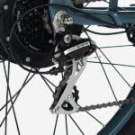 Pedego Interceptor Gears