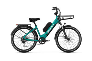 Taubik Blackburn 2026 (Light Green)