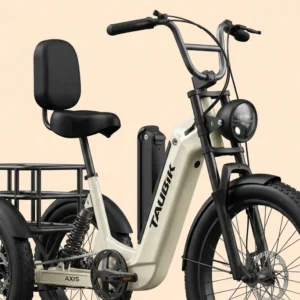 Taubik Axis Trike Battery