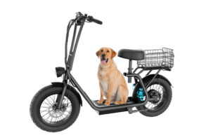 Hiboy U2 Pro E-Scooter